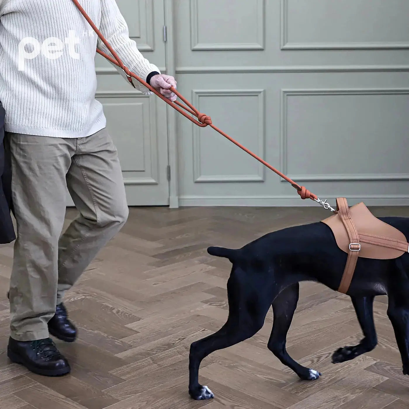 3way Hands Free Leash - Orange HOZI