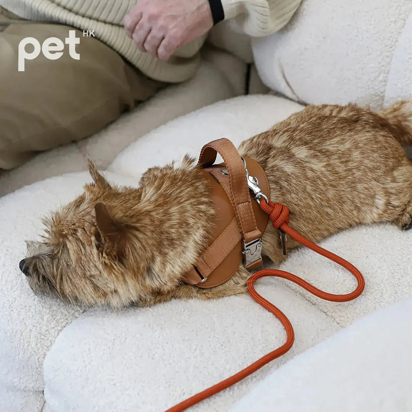 3way Hands Free Leash - Orange HOZI