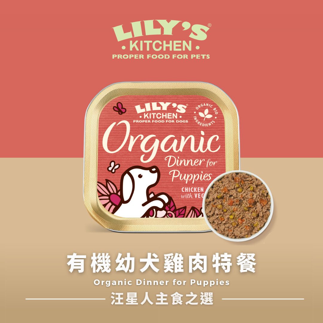 LILY’S KITCHEN Organic Wet Food for Dogs (Mixed Flavours) | 有機犬用主食罐 (混合口味)