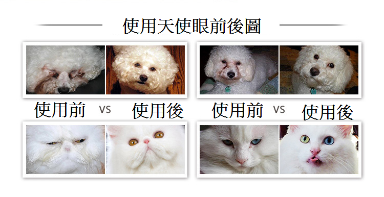 Eye Envy Tear Stain Remover Powder For Dog and Cat | 天然去淚痕粉 (貓犬用)