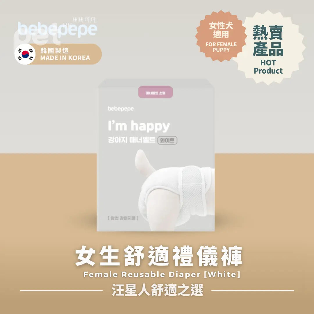 Bebepepe Female Reusable Diaper | 女生舒適禮儀褲 bebepepe