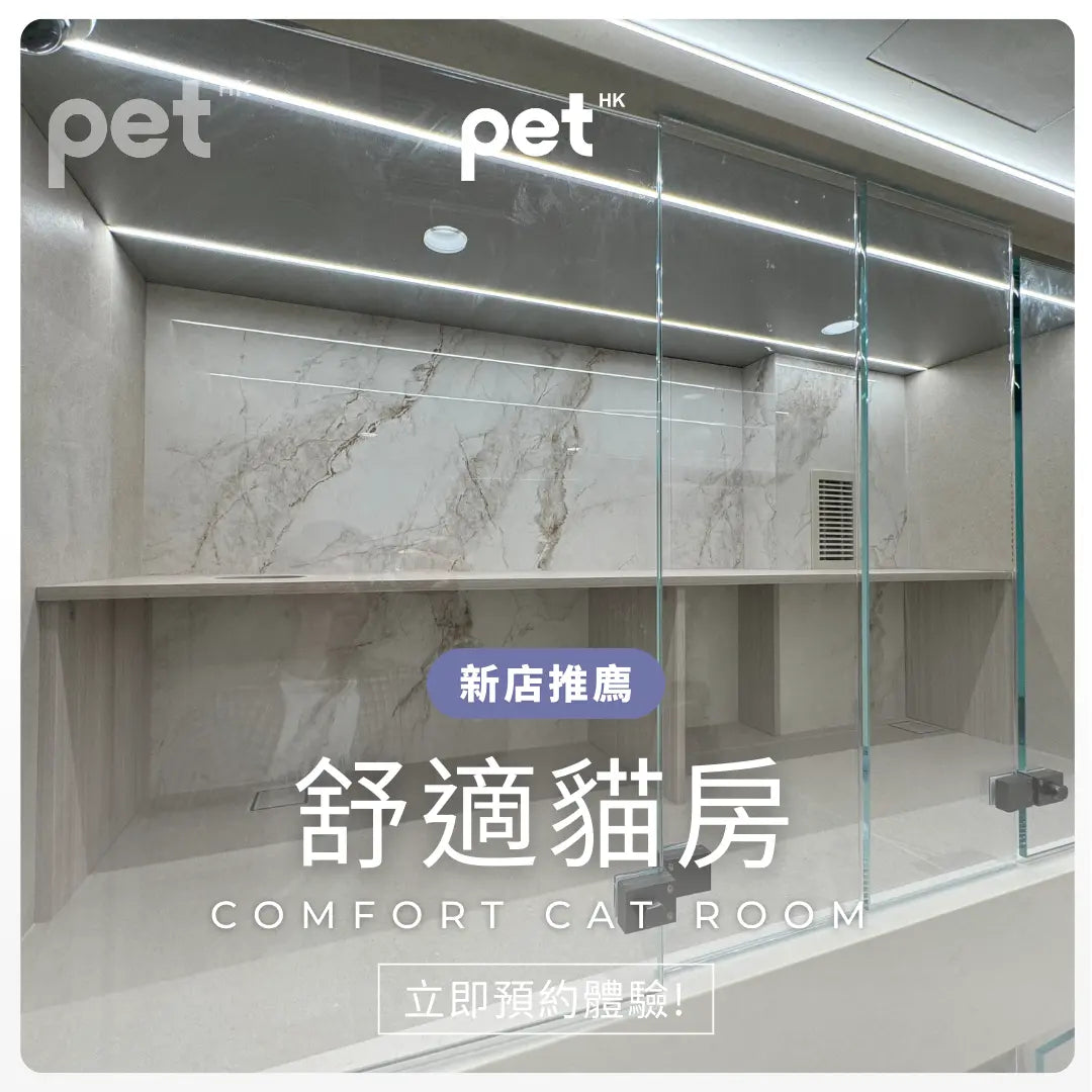 舒適貓房 Comfort Cat Room thepethk