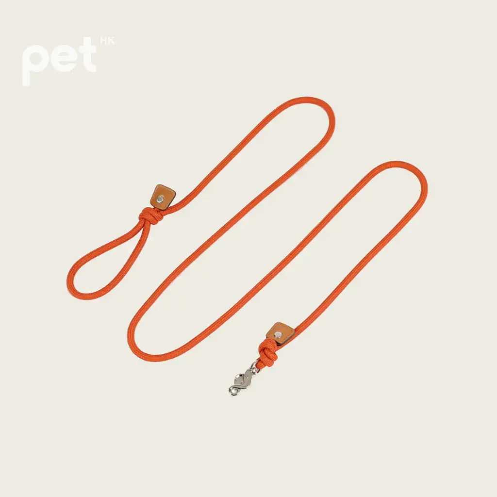 Essential Leash - Orangte HOZI