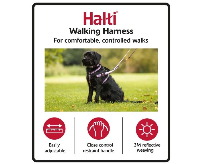 Halti Walking Harness Black Color 工字胸帶黑色