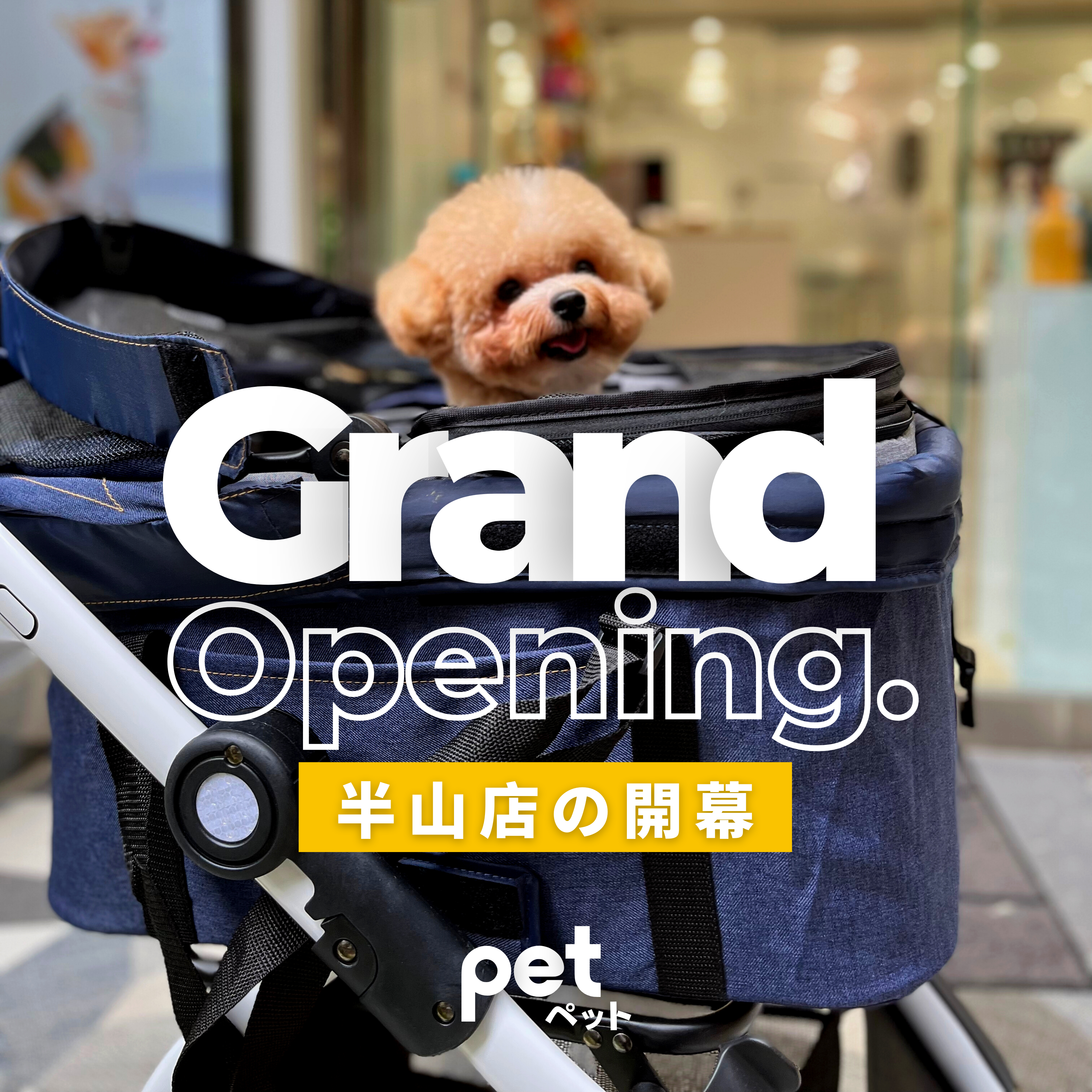 pet hk 半山寵物店 -  Mid Levels Edition 本著熱愛毛孩的心情，我們提供一系列獨特精選的優質寵物用品，和細心舒適的寵物美容服務。在這個寧靜和充滿現代簡約設計感的角落，帶你的毛孩來散一次輕鬆的步，來一個PET SALON DAY，挑選令寵物興奮的新零食和玩具，來一個說sit就sit的訓練之旅。半山店還有送遞上門服務、專車接送等貼心服務，方便你跟主子漫步半山。期望你在𝘔𝘪𝘥-𝘓𝘦𝘷𝘦𝘭𝘴 𝘌𝘥𝘪𝘵𝘪𝘰𝘯裡會有一次愉快的PET體驗 !