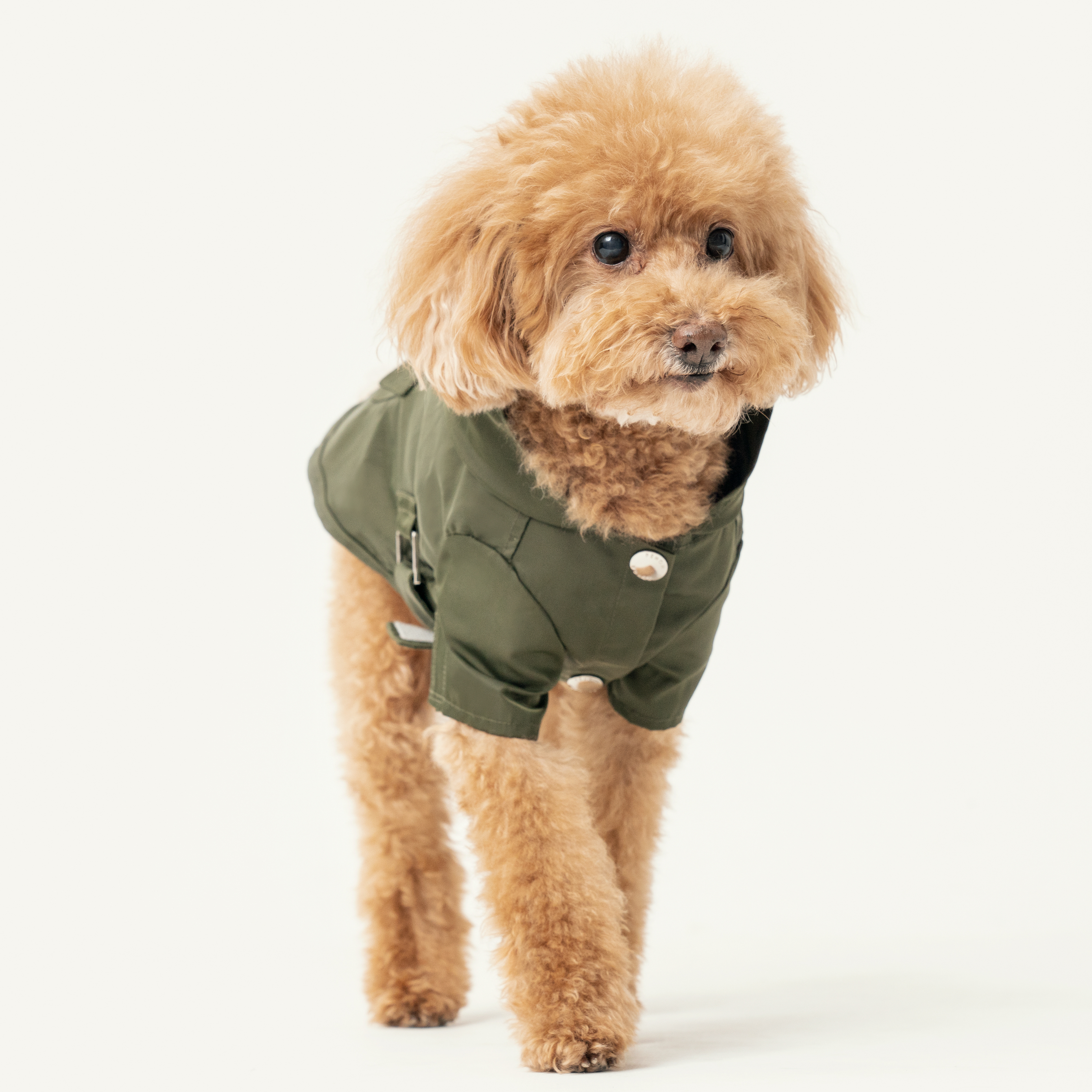 PEHOM - Pet Raincoat可調節式防潑水雨衣 (軍綠Green)