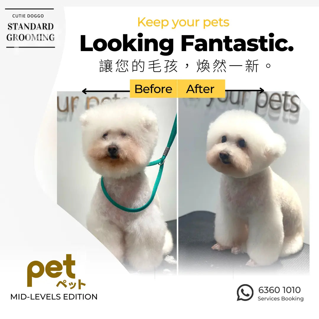 Standard Grooming 基本沖涼造型及護理 thepethk